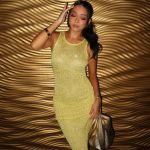 Majorelle-Clothing-review-4